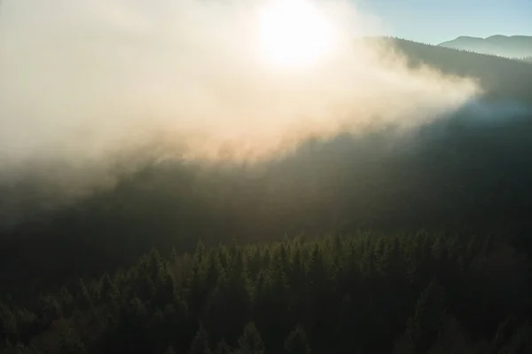 Vista Aérea Paisagens Incríveis Com Pinheiros Nebulosos Floresta Montanha Escura — Fotografia de Stock