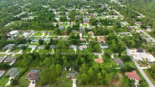 Florida Nın Sakin Yerleşim Bölgesinde Yeşil Palmiye Ağaçları Arasında Özel — Stok video