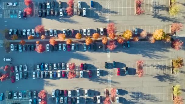 Вид Зверху Багато Припаркованих Автомобілів Парковці Лініями Розмітками Паркувальних Місць — стокове відео