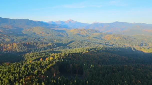 View Ukrainian Carpathian Mountains Wooded Hills Autumnal Sunset Brightly Illuminated — Stockvideo