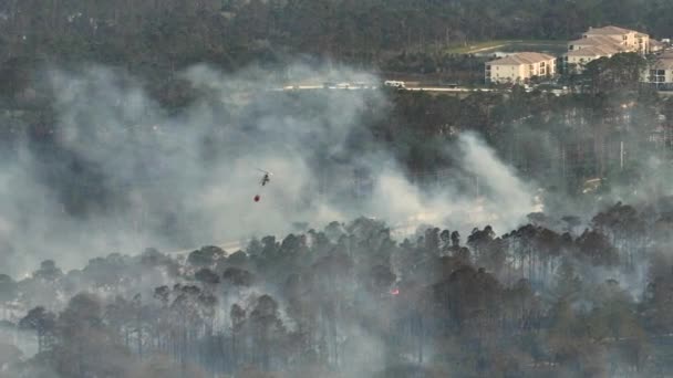 Légi Felvétel Tűzoltók Helikopteréről Amint Tűzoltók Súlyosan Égnek Floridai Dzsungelben — Stock videók