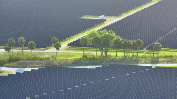 Аерофотозйомка Великої Стійкої Електростанції Рядами Сонячних Фотоелектричних Панелей Виробництва Чистої — стокове відео
