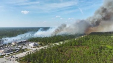 Florida ormanlarında yangın söndüren itfaiye araçları. İtfaiye araçları ormanda yangın çıkarmaya çalışıyor. Zehirli duman kirletici atmosfer.