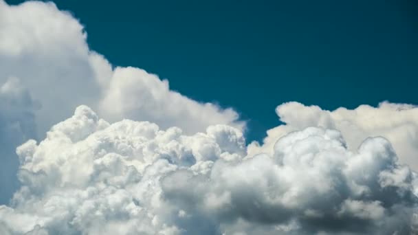 Timelapse White Puffy Cumulus Clouds Forming Summer Blue Sky Moving — Stockvideo