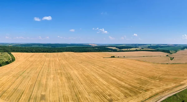 Vzdušná Krajina Pohled Žluté Obdělávané Zemědělské Pole Suchou Slámou Rozřezané — Stock fotografie
