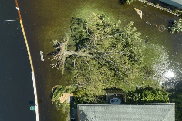 Стихийные Бедствия Последствия Ураган Иан Затопил Дом Упал Дерево Жилом — стоковое фото