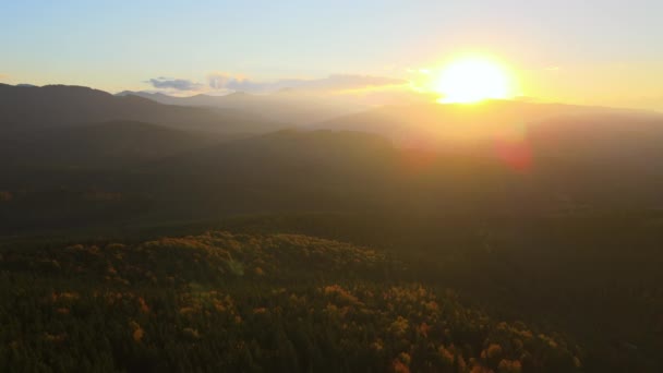 Sonbahar Mevsiminde Parlak Çam Ağaçlarıyla Aydınlatılmış Karpat Dağlarının Hava Manzarası — Stok video