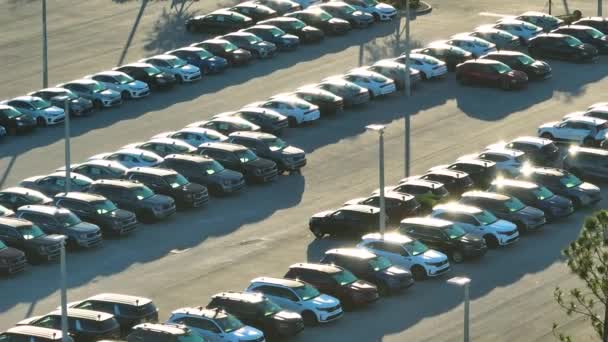 Widok Góry Dealerów Parking Odkryty Wielu Nowych Samochodów Magazynie Sprzedaż — Wideo stockowe