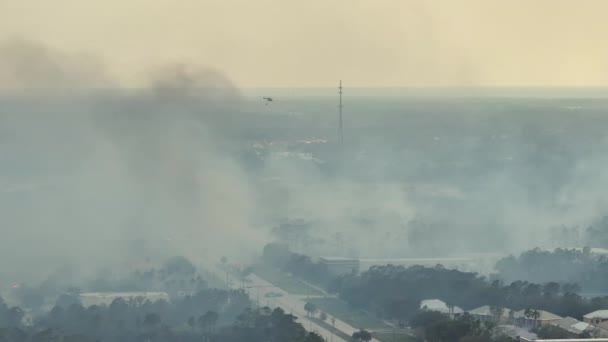 Fire Department Chopper Extinguishing Wildfire Burning Severely Florida Jungle Woods — Stock Video