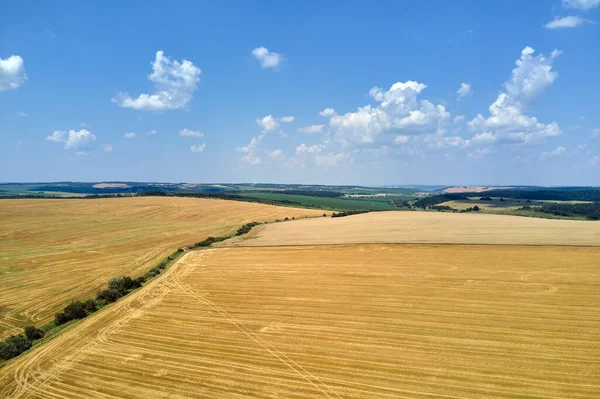 Luftbild Von Gelb Kultivierten Landwirtschaftlichen Feld Mit Trockenem Stroh Von — Stockfoto