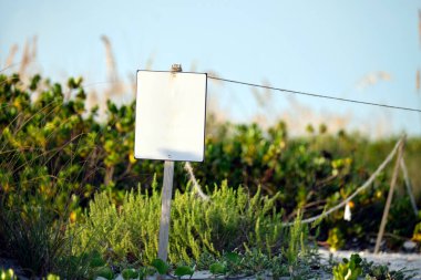 Empty signboard with copy space on seaside beach with small sand dunes and grassy vegetation on warm summer evening.