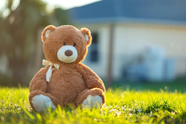 Big plush teddy bear sitting alone on green grass lawn in summer. Concept of childhood.