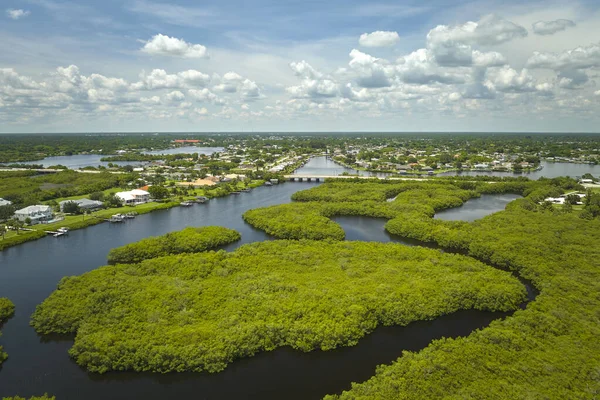 Florida Nın Yukarısından Okyanus Suları Arasında Yeşil Bitki Örtüsü Olan — Stok fotoğraf
