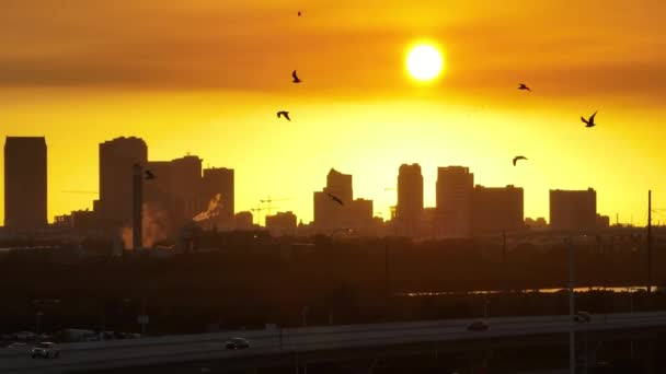 Helikopter Lecący Nad Miejskim Krajobrazem Zachodu Słońca Śródmieścia Miasta Tampa — Wideo stockowe