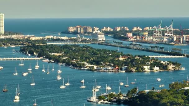 View Palm Island Miami Beach City Many Sailboats Cruise Ship — Stock Video