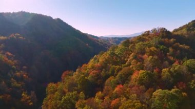 Appalachian dağlarının sonbahar mevsiminde ışıl ışıl parlayan yemyeşil ve çam ağaçlarıyla hava manzarası. Güzel doğanın sonbahar manzarası.