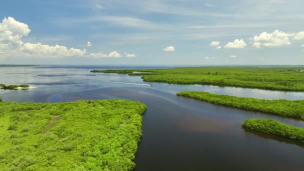 Widok Lotu Ptaka Floryda Mokradła Małym Motorówka Pływanie Między Zieloną — Wideo stockowe