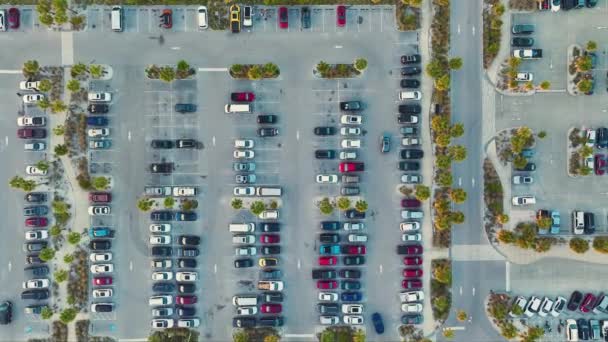 Aerial View Many Colorful Cars Parked Parking Lot Lines Markings — Stock Video