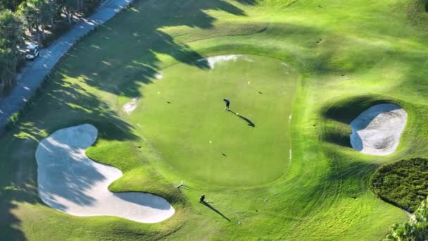 Flygfoto Spelare Som Tränar Golf Stor Grön Golfbana Soliga Florida — Stockvideo