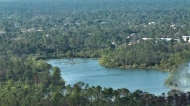 Florida orman ormanlarında şiddetli yangın söndürmek için gölden su dolduran acil servis helikopteri. Polis helikopteri ormanda yangın çıkarmaya çalışıyor..