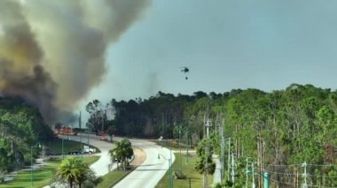 İtfaiye helikopteri ve itfaiye araçları Florida ormanlarında şiddetli yangın söndürüyorlar. Acil servis araçları ve helikopter ormanda yangın çıkarmaya çalışıyor..
