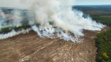 Orman yangınından yükselen beyaz dumanların hava manzarası atmosferi kirletiyor. Doğal afet kavramı.