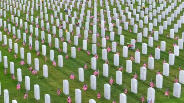 Amerykański Narodowy Cmentarz Wojskowy Rzędami Białych Kamieni Grobowych Zielonym Trawniku — Wideo stockowe