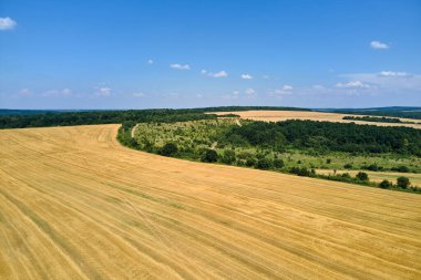 Buğday hasadından sonra kuru samanla ekilmiş sarı tarım arazisinin havadan manzarası.