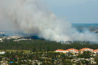 Kuzey Liman şehri Florida 'da şiddetli yanan lagre orman yangınının görüntüsü. Zehirli duman atmosferli ormanda sıcak alevler.