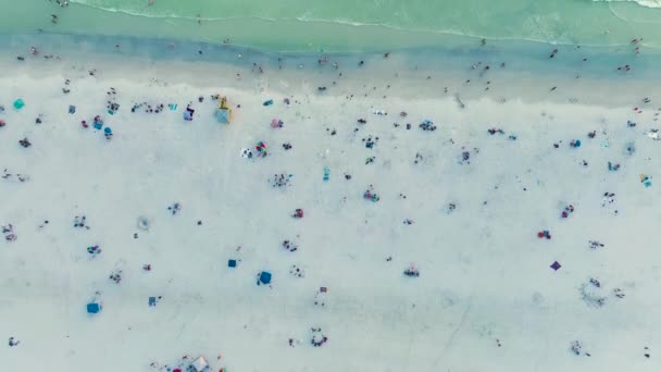 Υψηλή Γωνία Άποψη Του Συνωστισμού Παραλία Siesta Key Στη Σαρασότα — Αρχείο Βίντεο