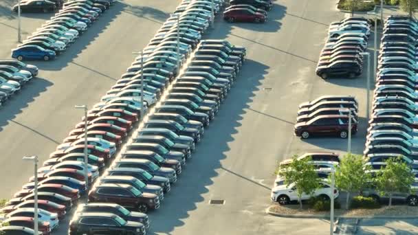 大型停车场的当地经销商与许多全新的汽车停放出售 美国汽车工业的发展与汽车制造业概念的传播 — 图库视频影像