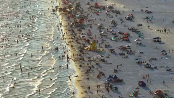 Aerial View Siesta Key Beach Sarasota Usa Many People Enjoing — Stok Video