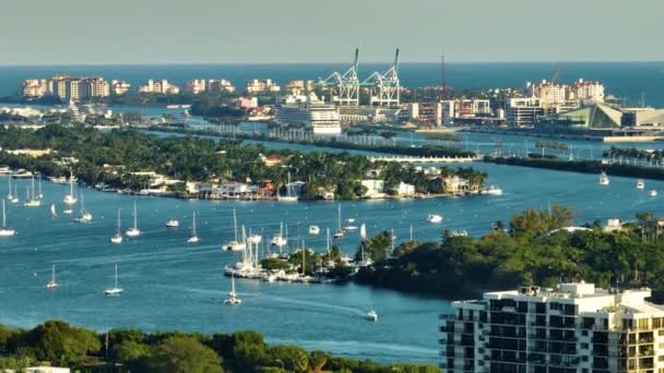 Drogie Rezydencje Palm Island Pobliżu Miami Beach Pomiędzy Zielonymi Palmami — Wideo stockowe