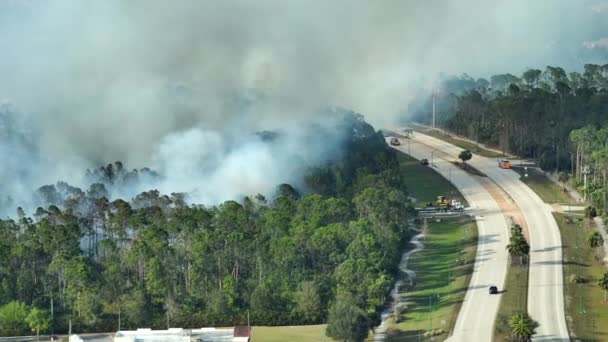 消防署の消防車はフロリダのジャングルの森で激しく燃える山火事を消火する 救急車が炎を森に落とそうとしてる — ストック動画