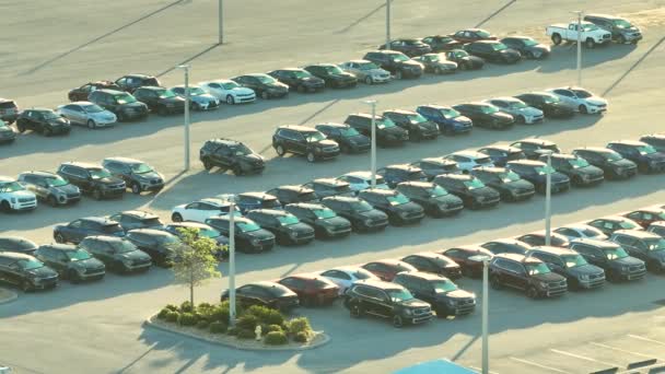 大型停车场的当地经销商与许多全新的汽车停放出售 美国汽车工业的发展与汽车制造业概念的传播 — 图库视频影像