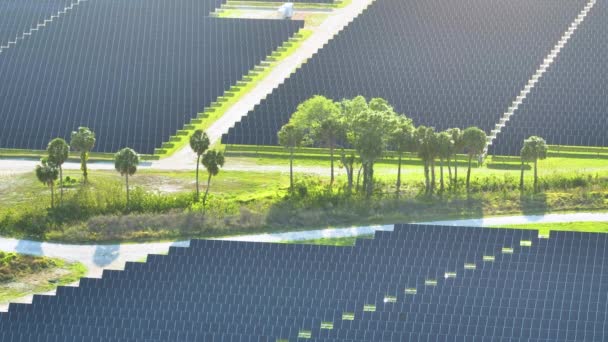 再生可能エネルギーはゼロ エミッション クリーンな電気エネルギーを生産するための太陽光発電パネルの多くの行を持つ持続可能な発電所 — ストック動画