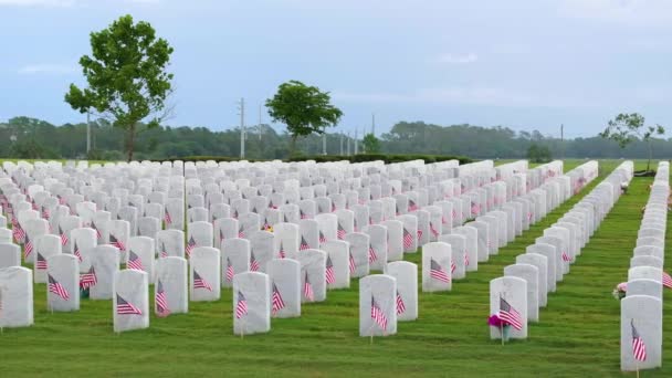 サラソータ国立墓地緑の芝生の上に多くの白い墓石 記念の日のコンセプト — ストック動画
