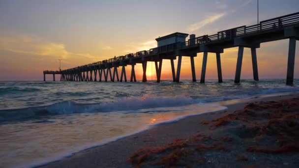 Sunset Ocean Landscape Venice Fishing Pier Florida Usa Surf Waves — Stock Video