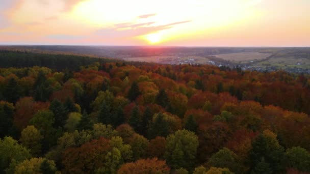 Pohled Shora Barevné Lesy Při Západu Slunce Žluté Oranžové Koruny — Stock video