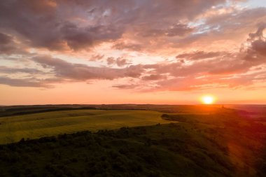 Canlı bir yaz akşamında olgun buğdayla ekili sarı tarım arazisinin havadan manzarası..