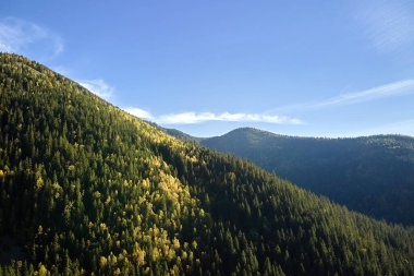 Parlak bir sonbahar günü koyu ladin ormanlarının olduğu yamaçtan. Vahşi dağ ormanlarının güzel manzarası.