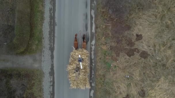 上に農民の男性と乾燥干し草でいっぱいの古い木製のカートを引く馬のペアの空中ビュー — ストック動画