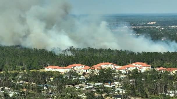 Vista Aérea Fuerte Incendio Forestal Que Arde Severamente North Port — Vídeos de Stock