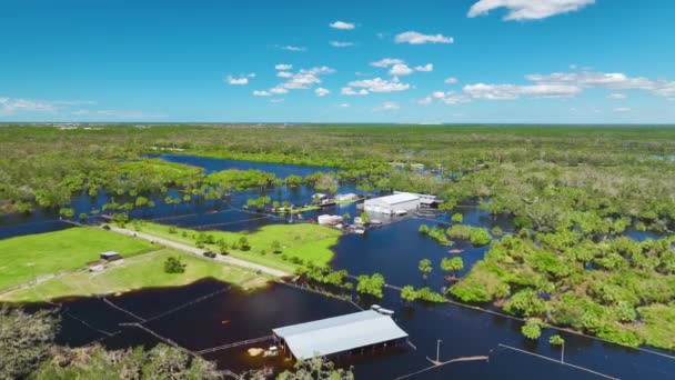 Översvämmat Industriellt Lager Orkanen Ian Nederbörd Florida Bostadsområde Konsekvenser Naturkatastrofer — Stockvideo