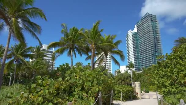 Miami Beach City Mit Luxuriösen Strandhochhaushotels Und Eigentumswohnungen Atlantik Amerikanische — Stockvideo
