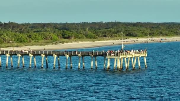 Folk Njuter Semestern Venedigs Fiskebrygga Florida Sommaraktiviteter Vid Havet Frisk — Stockvideo