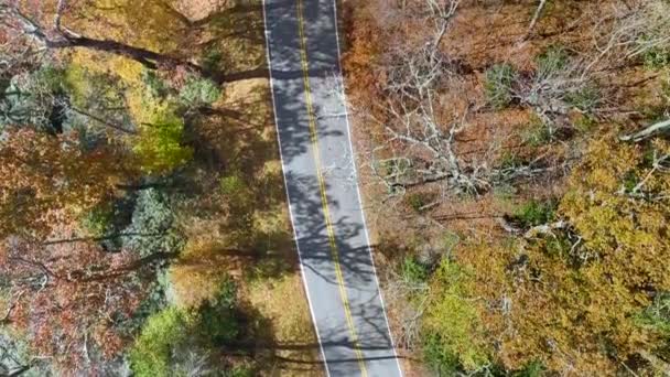 Vista Cima Vazio Blue Ridge Parkway Estrada Appalachian Great Smoky — Vídeo de Stock