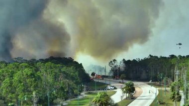 İtfaiye itfaiye araçları Florida ormanlarında şiddetle yanan yangını söndürüyor. Ormanda yangın söndürmeye çalışan acil servis araçları..