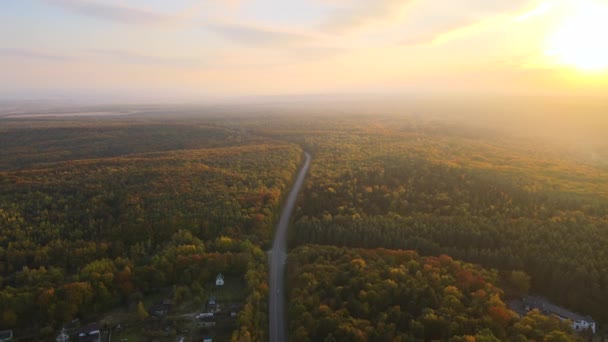 View Backcountry Road Colorful Woods Sunset Narrow Highway Surrounded Yellow — Stock Video