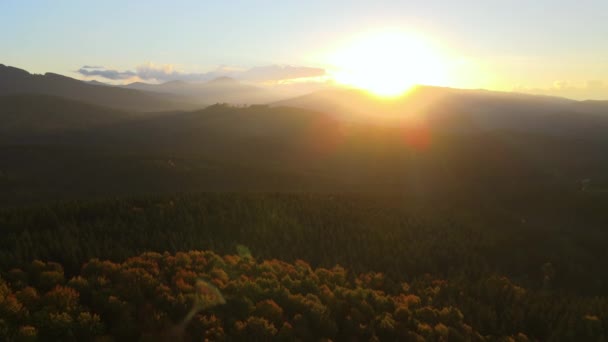 View Ukrainian Carpathian Mountains Wooded Hills Autumnal Sunset Brightly Illuminated — Wideo stockowe